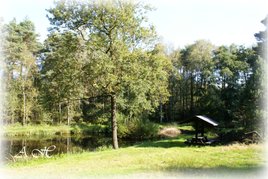 Lose Teich in Ober-Prauske